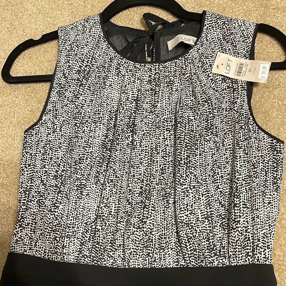 Ann Taylor Loft Sleeveless dress. Size: 2 Petite - Picture 3 of 5